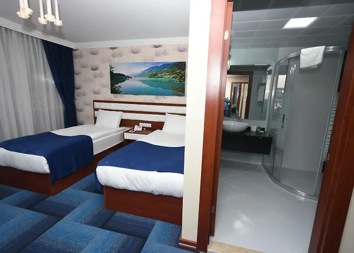 Hotel Business Grand Ancara